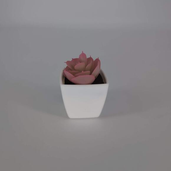 Mini Fake Faux Artificial Pink Succulent Potted Plant in Plastic White Pot - GUC - Picture 3 of 9